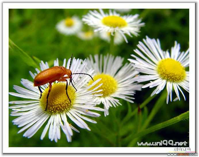 [��ͼ]�������ǵ�������