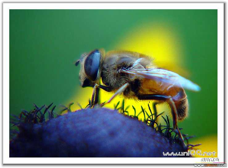 [��ͼ]�������ǵ�������