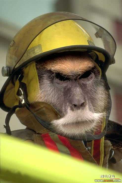 [��ͼ]���ﴩ�´�Ҳ��Ʒλ