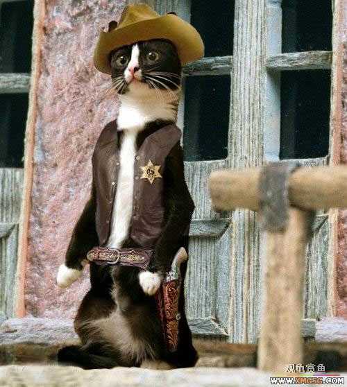 [��ͼ]���ﴩ�´�Ҳ��Ʒλ