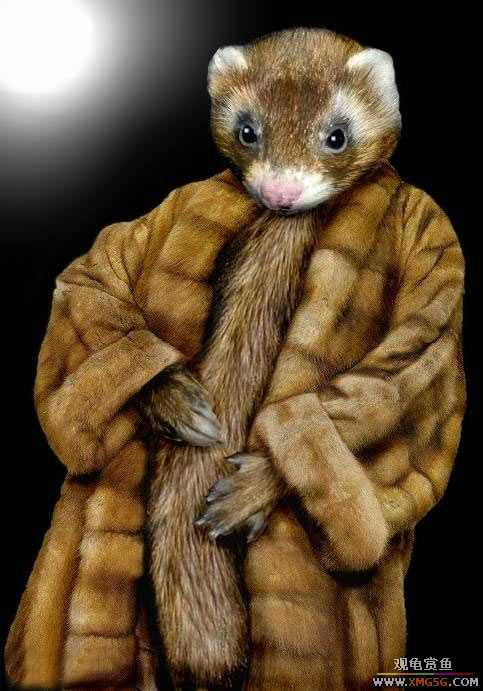 [��ͼ]���ﴩ�´�Ҳ��Ʒλ