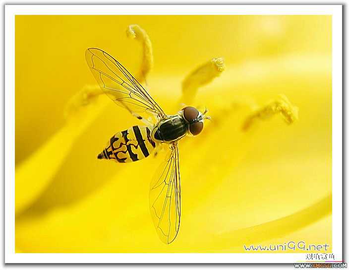 [��ͼ]�������ǵ�������