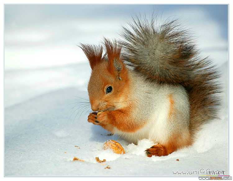 [��ͼ]�������ǵ�������