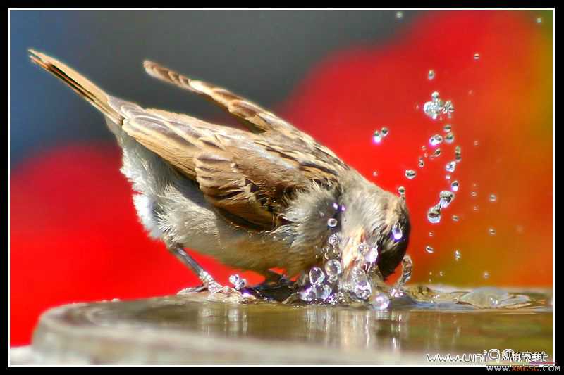 [��ͼ]�������ǵ�������