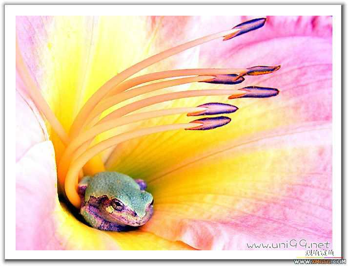 [��ͼ]�������ǵ�������