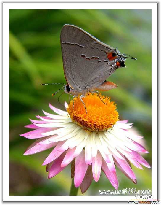 [��ͼ]�������ǵ�������