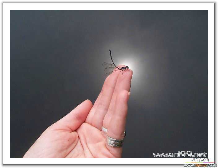 [��ͼ]�������ǵ�������