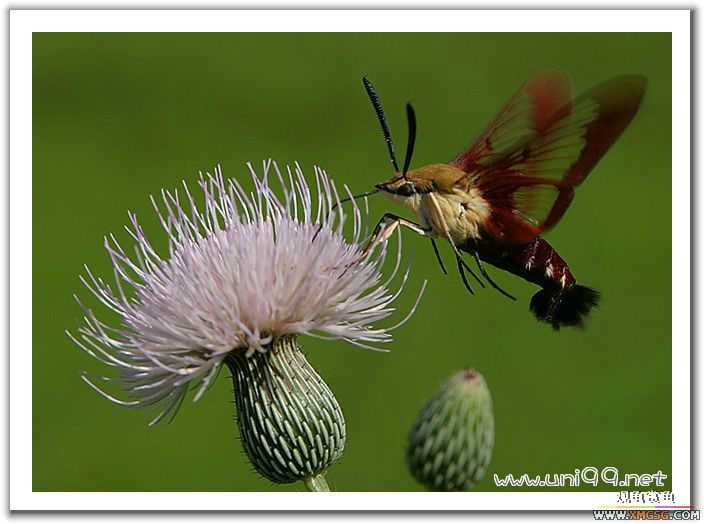 [��ͼ]�������ǵ�������