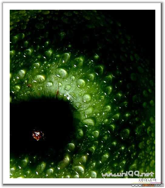 [��ͼ]�������ǵ�������