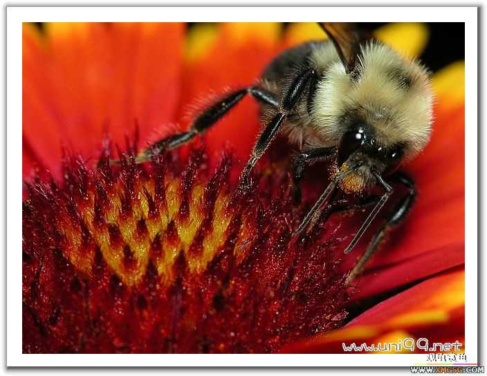 [��ͼ]�������ǵ�������