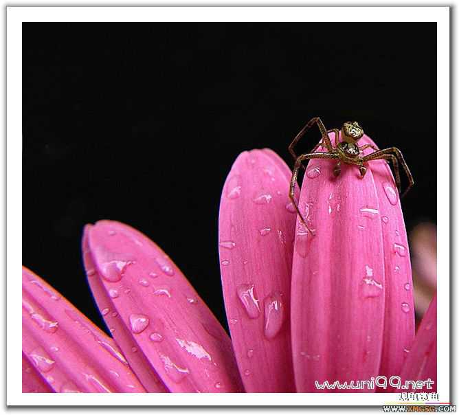 [��ͼ]�������ǵ�������