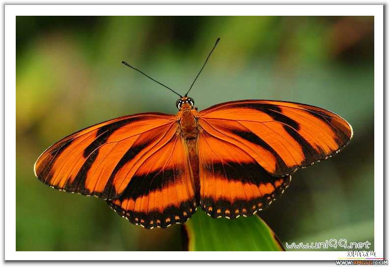 [��ͼ]�������ǵ�������