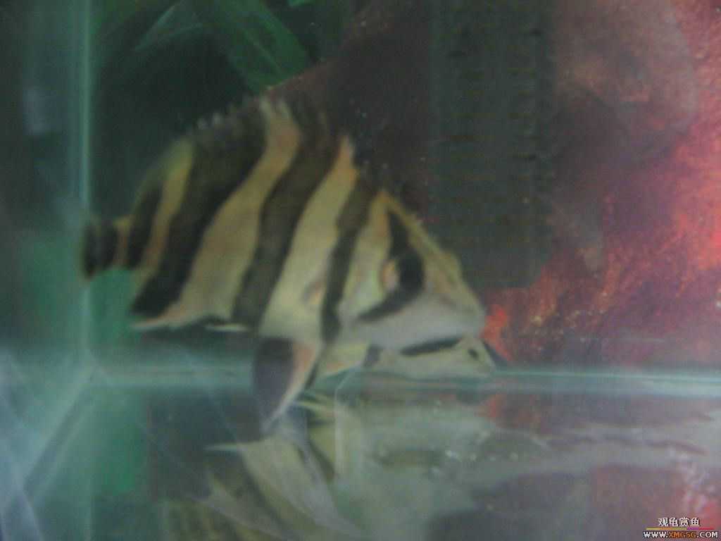 [�̼�]������֮�� ����·