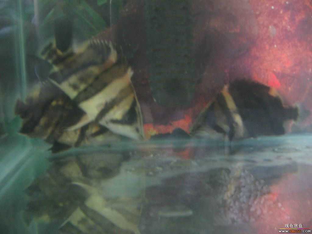 [�̼�]������֮�� ����·