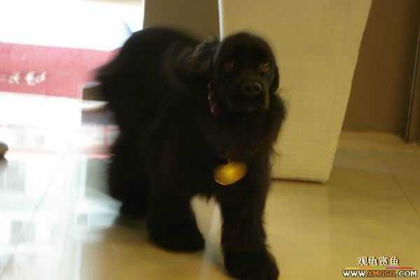 [ԭ��]6.30����������Ӱ�μ�~