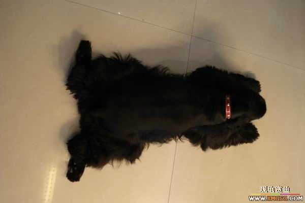 [ԭ��]6.30����������Ӱ�μ�~