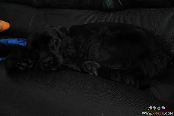 [ԭ��]6.30����������Ӱ�μ�~