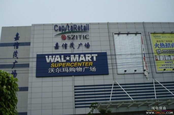 [ԭ��]��������������֮��