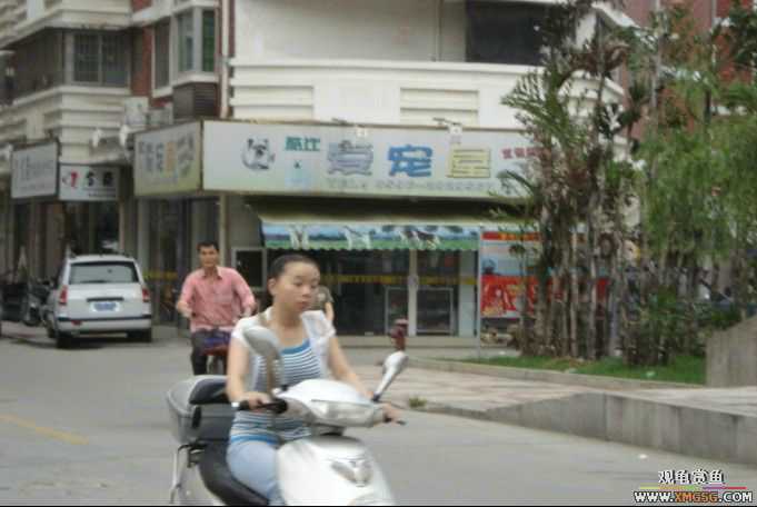 [ԭ��]��������������֮��