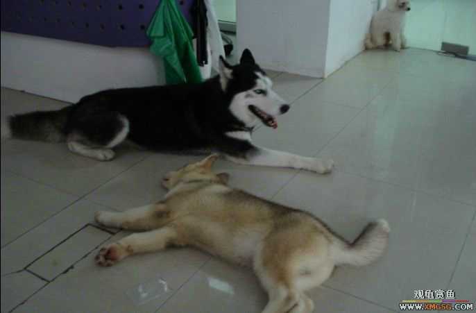 [ԭ��]��������������֮��