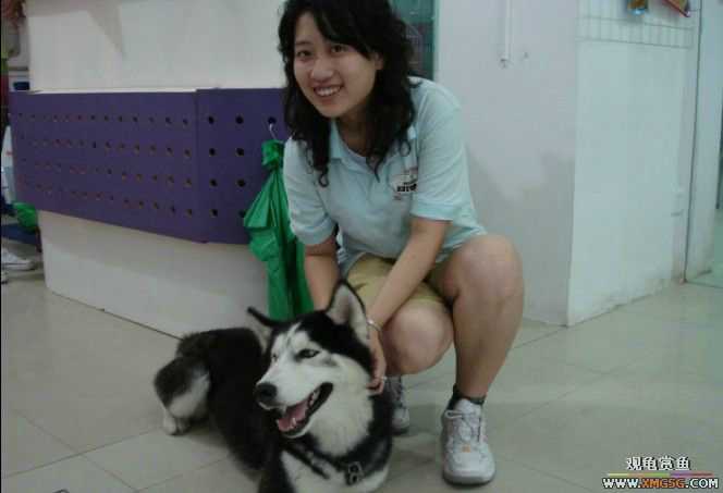 [ԭ��]��������������֮��