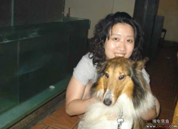 [ԭ��]��������������֮��