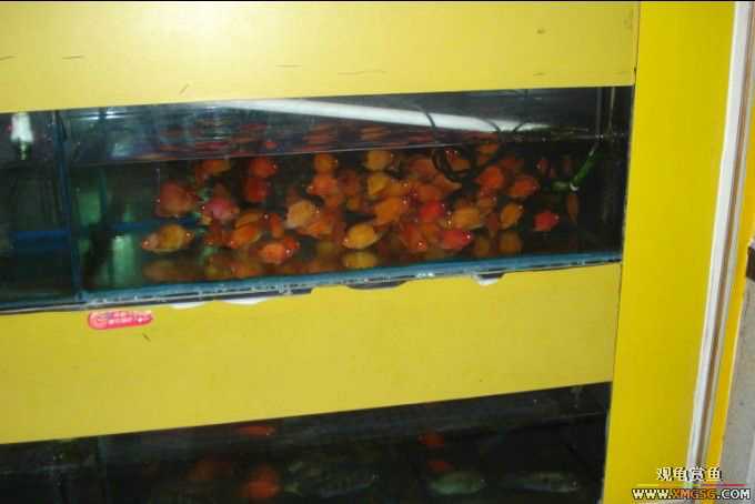 [ԭ��]��������������֮��