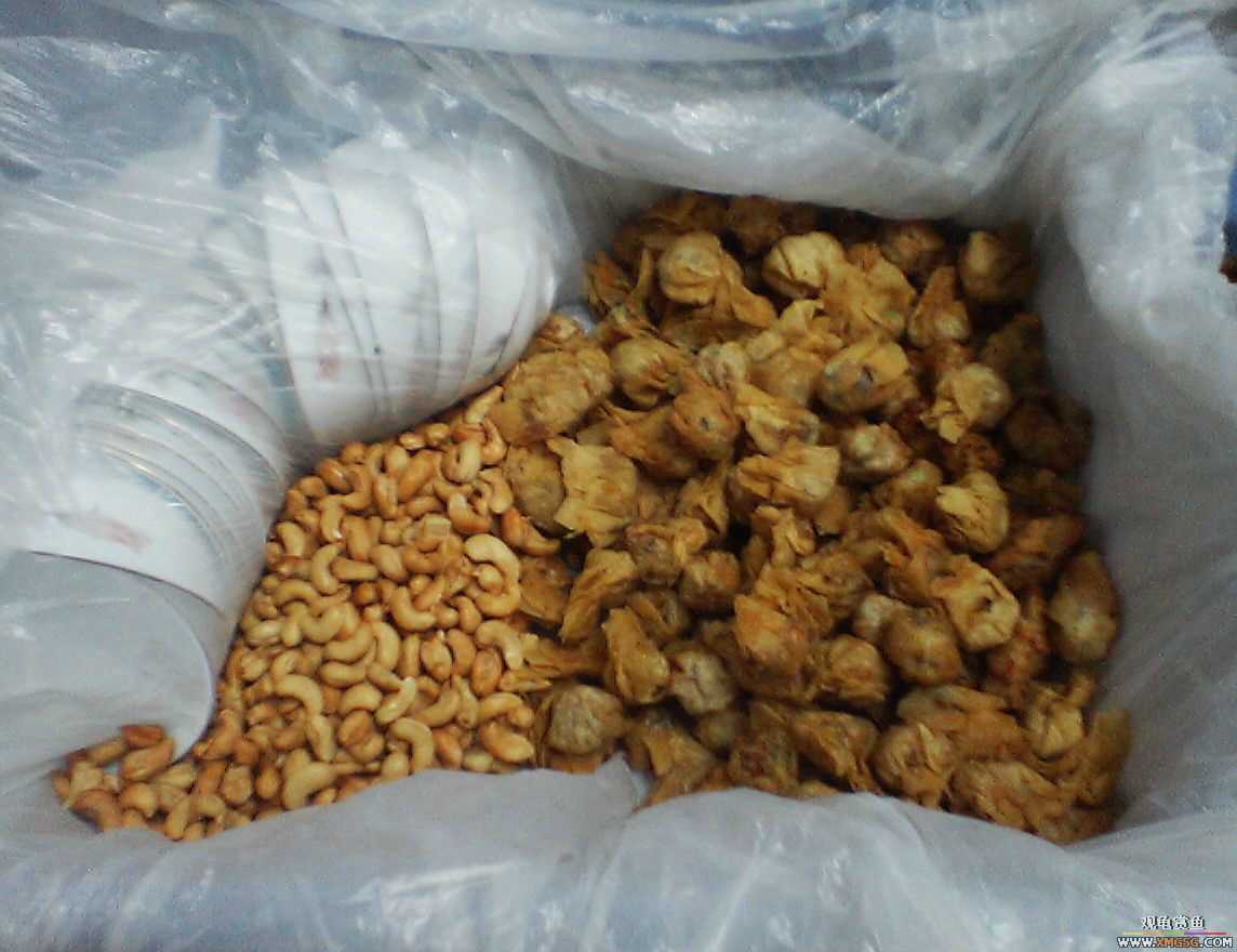 MM�����ݰݵ�DD