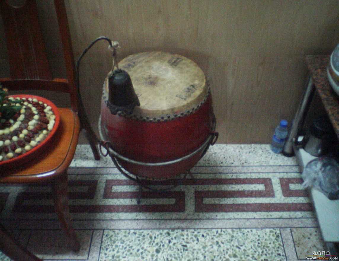 MM�����ݰݵ�DD