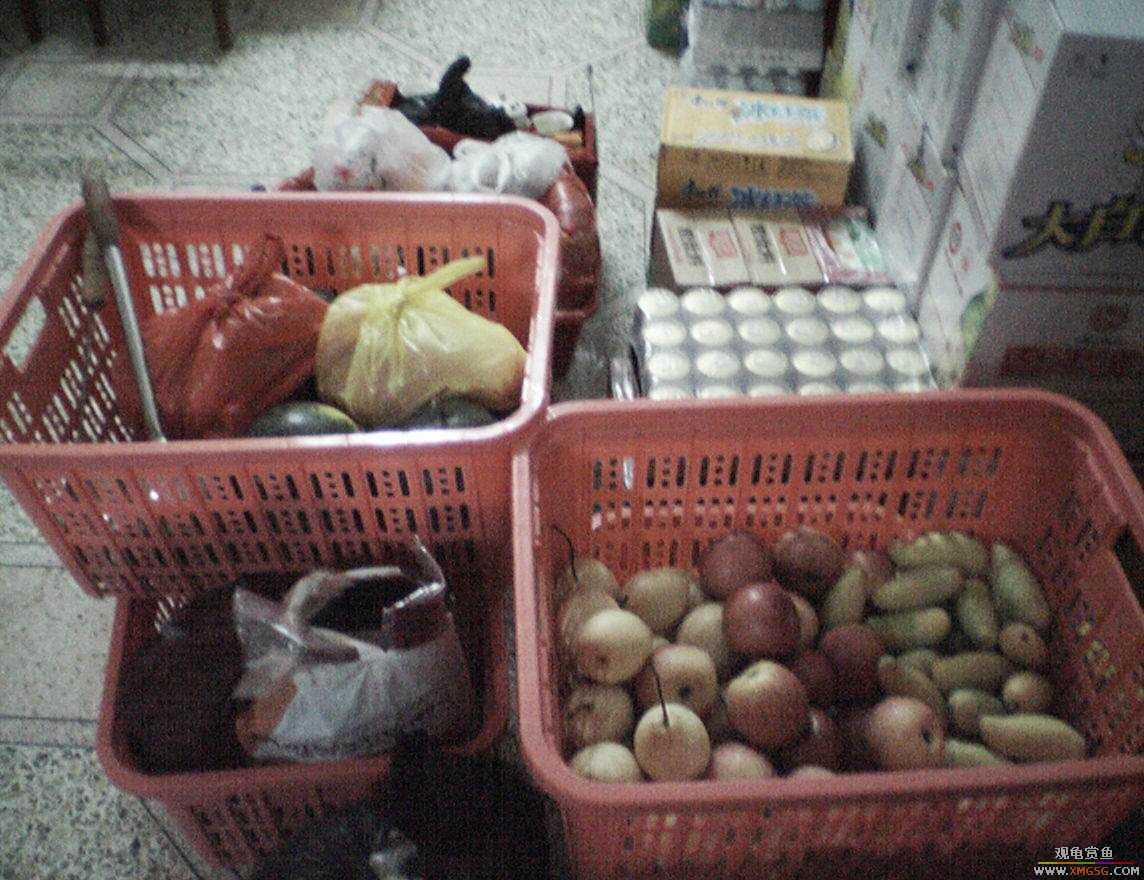 MM�����ݰݵ�DD