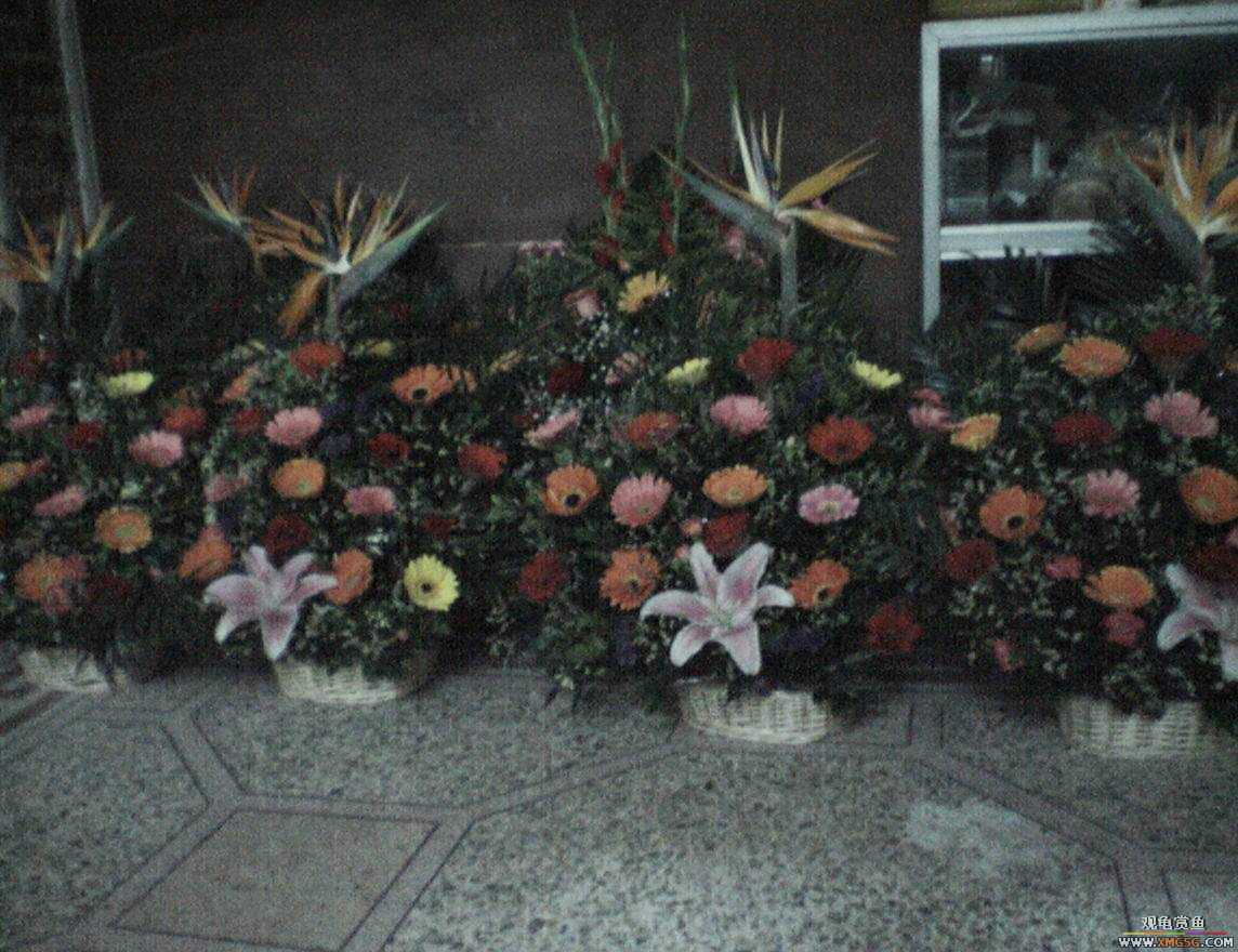 MM�����ݰݵ�DD