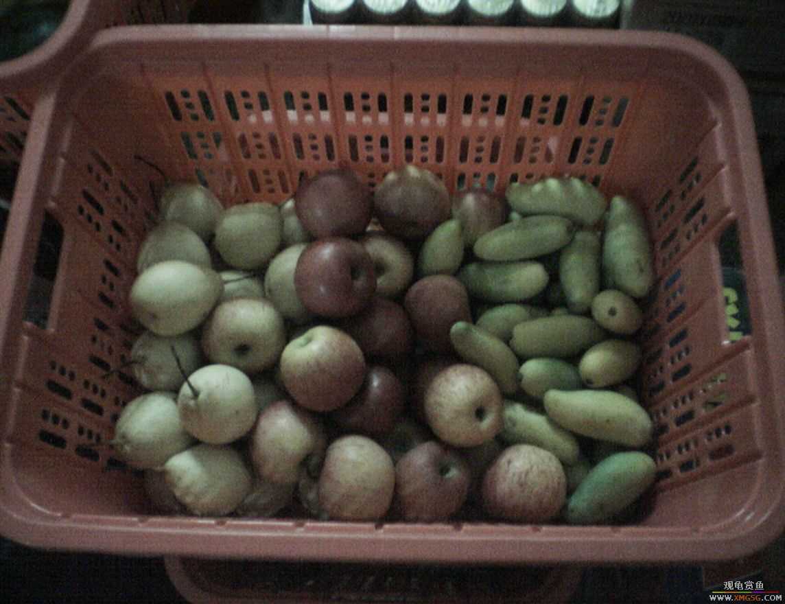 MM�����ݰݵ�DD