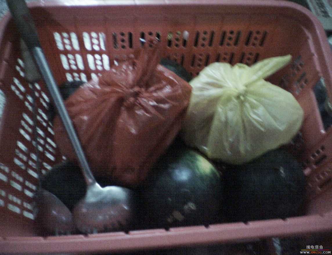 MM�����ݰݵ�DD