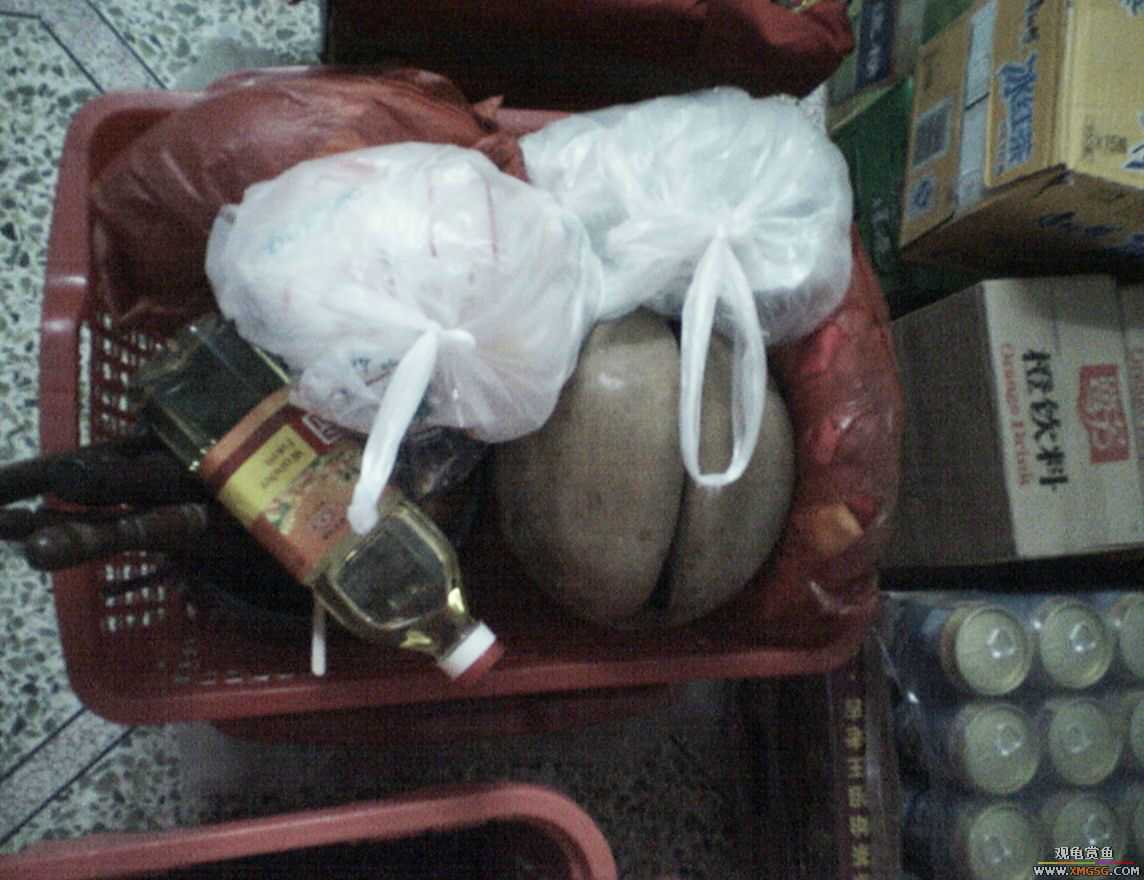 MM�����ݰݵ�DD