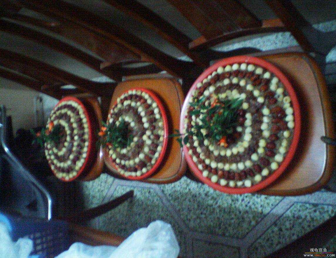 MM�����ݰݵ�DD