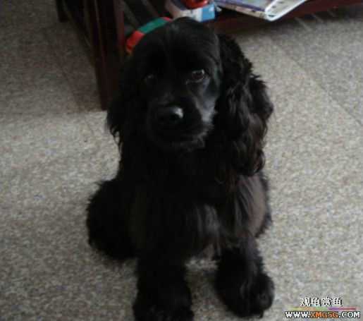 [ԭ��]��ȫ���������