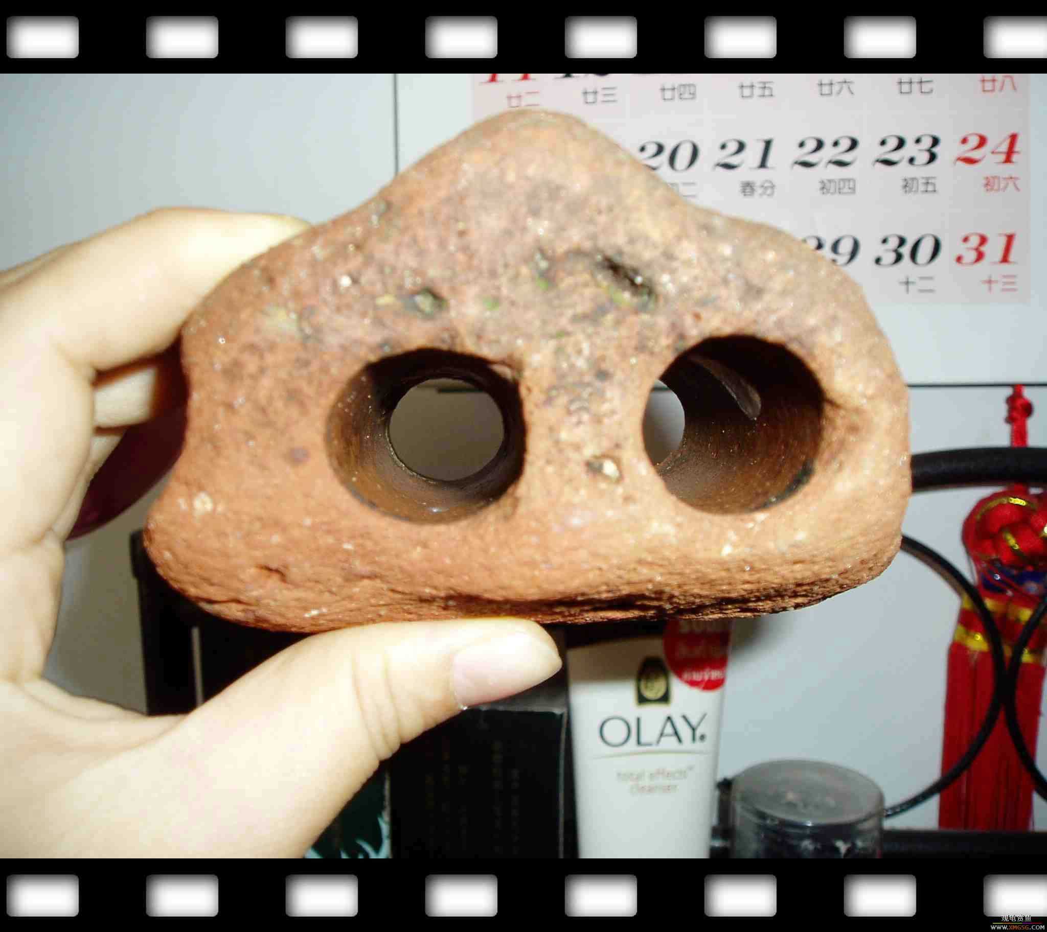 ������"����"