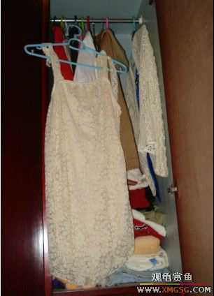 [ԭ��]���֣��ܼܰҡ�