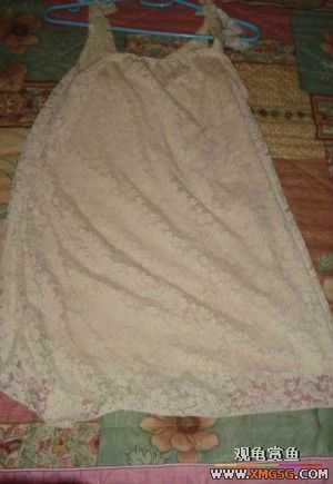 [ԭ��]���֣��ܼܰҡ�