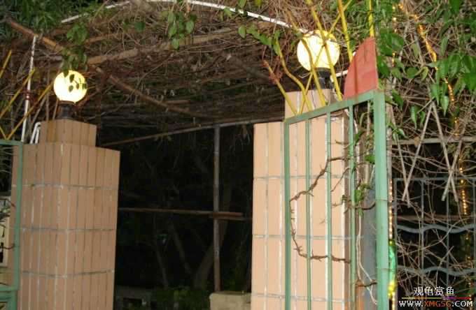 ����--����С�۵ĺõط�~