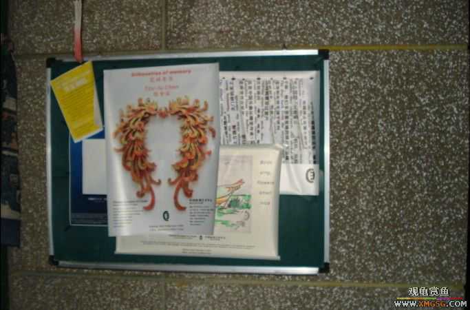 ����--����С�۵ĺõط�~