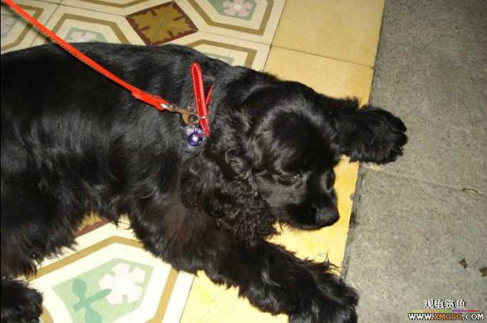 ����--����С�۵ĺõط�~