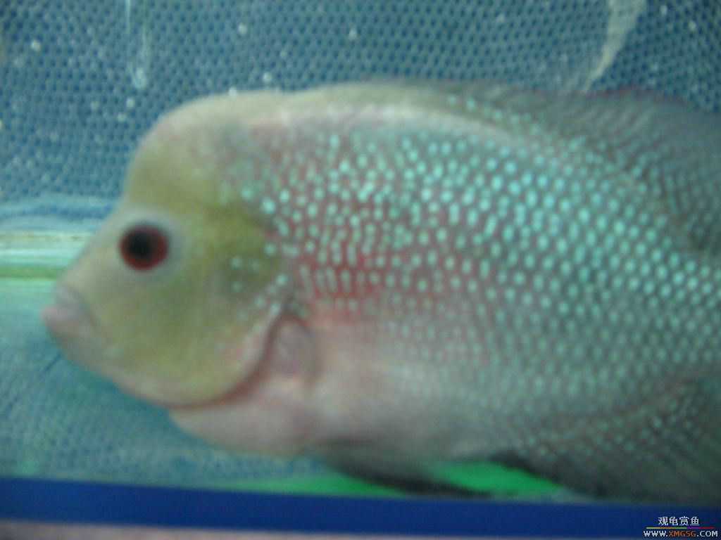 [�̼�]������֮�� ����·