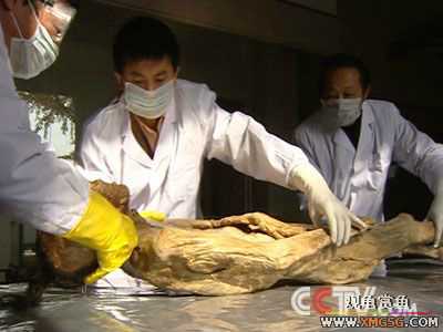 [ת��]�߽���ѧ����ʬ�հ� �ҿ�Ůʬ����ԭ��(��ͼ)