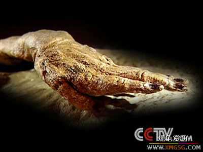 [ת��]�߽���ѧ����ʬ�հ� �ҿ�Ůʬ����ԭ��(��ͼ)