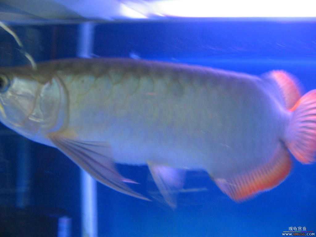 [�̼�]������֮�� ����·