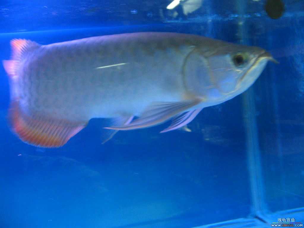 [�̼�]������֮�� ����·