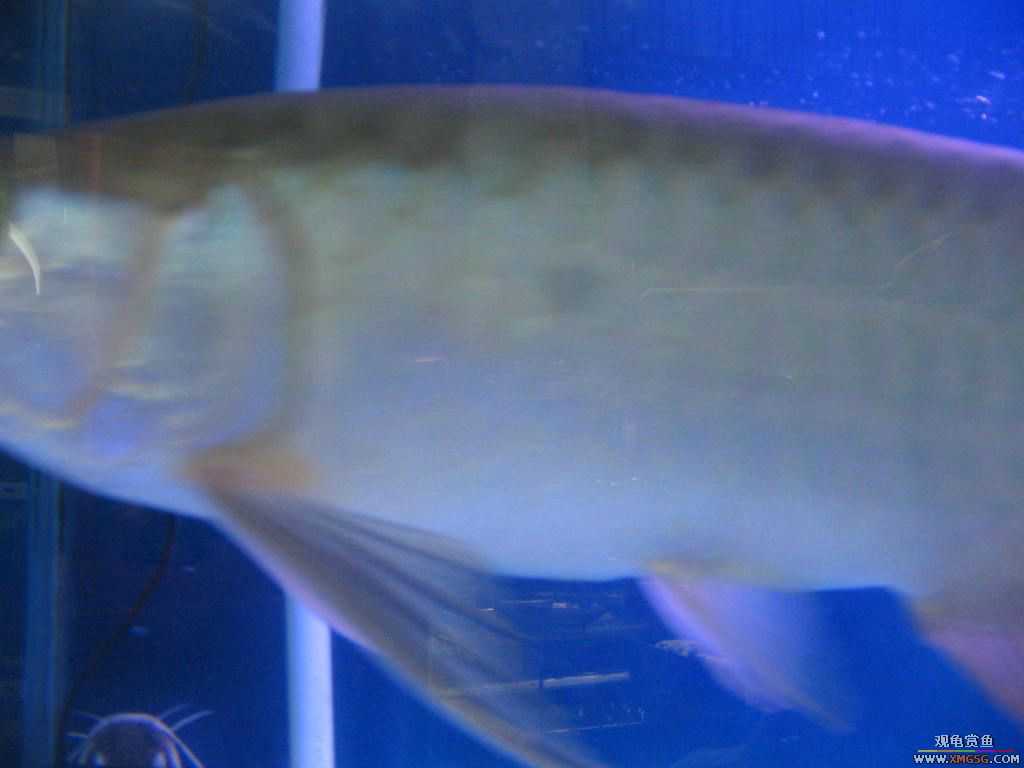 [�̼�]������֮�� ����·