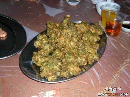 �ܵܿ��Ϲ�����ȫ��һ��ȥ�ƣ�