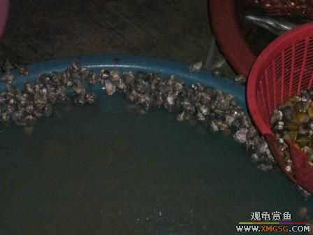 �ܵܿ��Ϲ�����ȫ��һ��ȥ�ƣ�